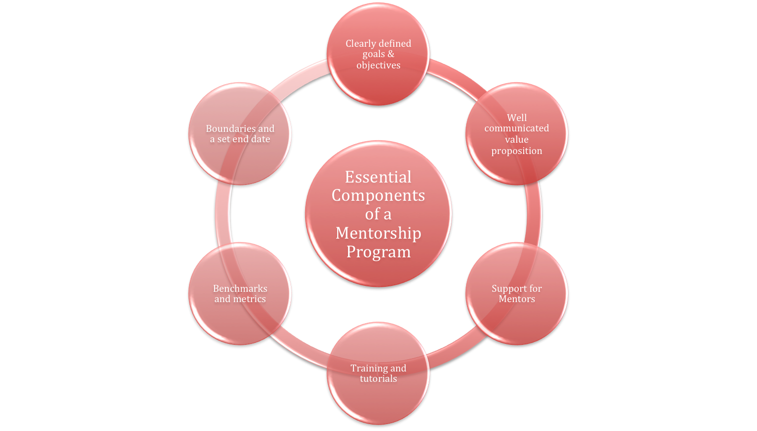 Essential Components of a Mentorship Program