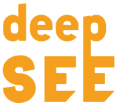 deepSEE Consulting