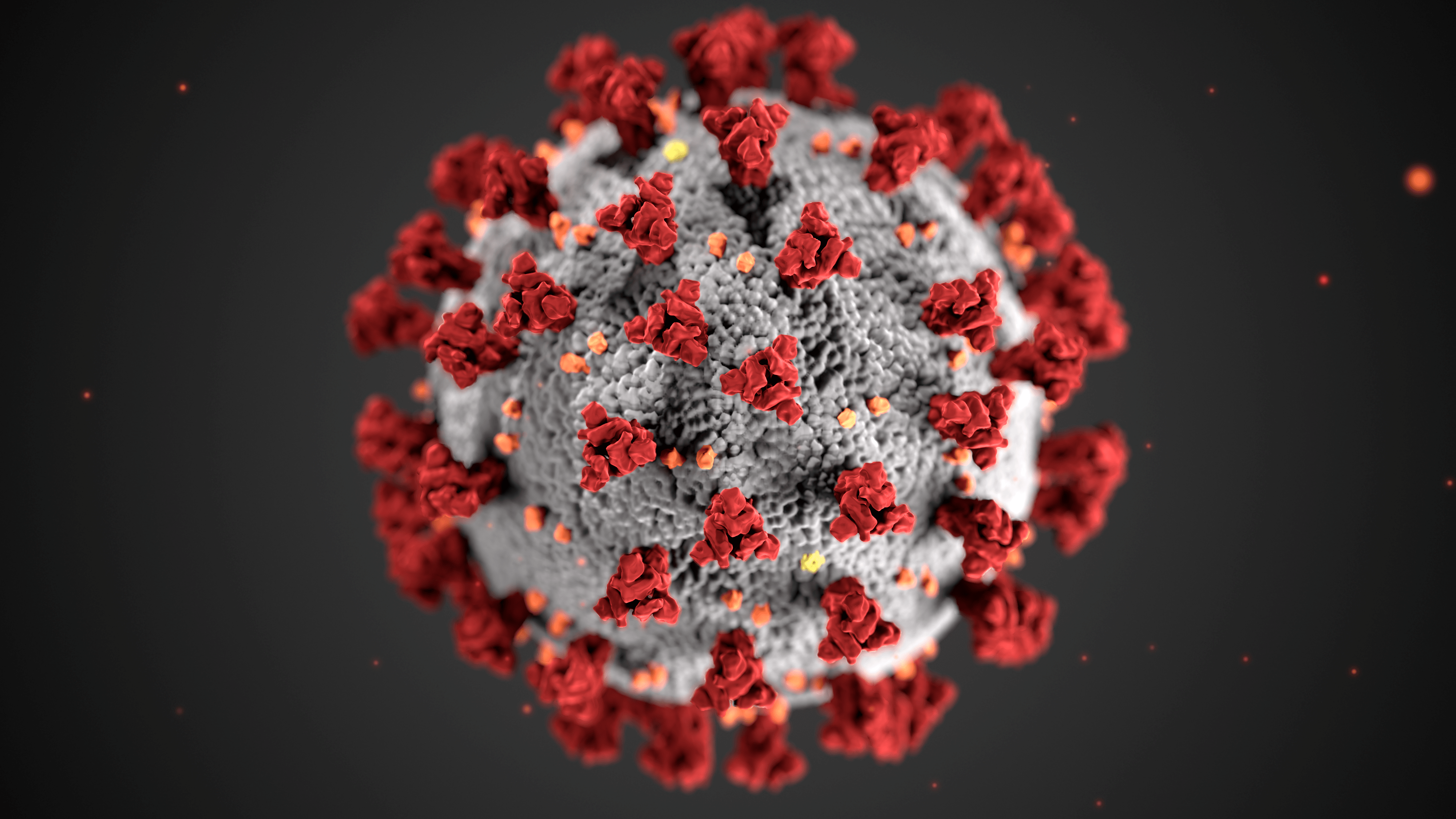 Using Proactive Outreach with Automated Coronavirus Screening to Minimize Community Risk of Exposure